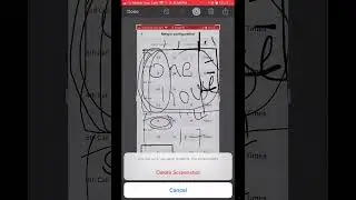 ROYAL Q AUTO BOT | REVIEW  TRADE SETTINGS, TAKE PROFIT, MARGIN CALL CONFIGURATIONS, BUY IN CALLBACK.