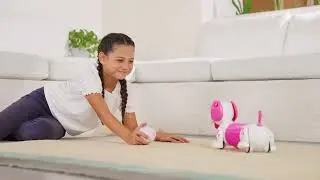 YCOO ROBO DASH D - Your interactive Robotic Puppy with direct & gesture control! by Silverlit Toys