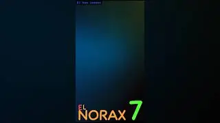 NORAX 7