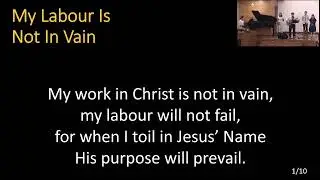 My Labour Is Not In Vain [2025-12-28]