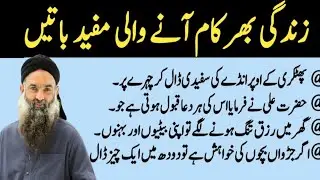 Quotes About life | Motivational Islamic Quotes | Golden Words | Rumi Quotes | Hazrat Ali Quotes
