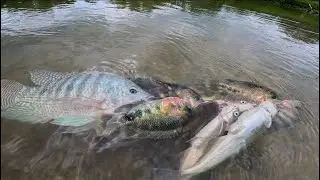 Рыбалка на реке Белиз