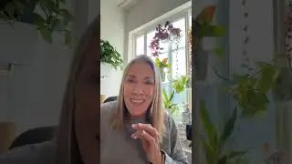 Does HRT cause weight gain? Or does it cause weight loss?