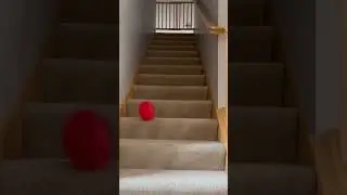 This is the other ball sui