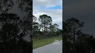 Car Hits Inflatable Ball