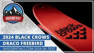 2024 Black Crows Draco Freebird &mdash; SkiEssentials.com Ski Test