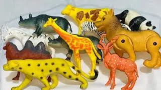 4 Minutes Satisfying With unboxing Animal Toys collection ASMR Review 