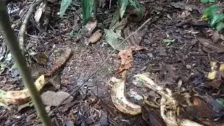 Ceva de paca.vejam como está .