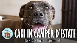 Cani in Camper d'Estate - #Puntata-413