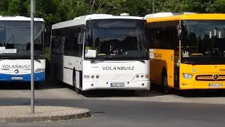 LZF-025, Volvo Alfa Regio