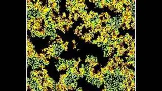 Colonies simulation with DDLab