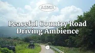 [3 Hours] Korean Country Roads Driving Ambience | POV Drive ASMR