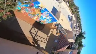RUTHLESS PACK!  - (advanced quadcopter dynamics) - PuShR FPV
