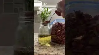 crafting a gentle herbal tincture with lavender, rose, and calendula 🌼💜