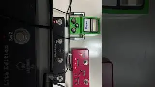 [Comparsion] Ibanez TS-9 vs Mosky DC5 Overdrive Pedal #Telecaster #shorts