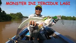 PREDATOR PENGHUNI SUNGAI KAHAYAN ///CASTING LAIS TEMBIRING/SENGARAT/BEGAHAK SUNGAI KAHAYAN #13