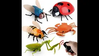 Remote Control Insects Toys