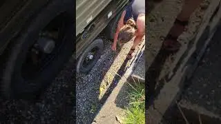 Trailer Year Down #3