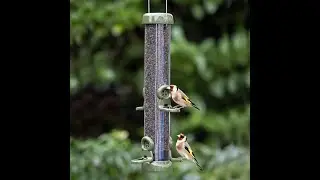 Ring Pull 'Click' Niger Feeder