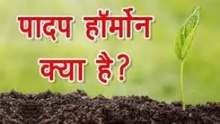 padap Harmon kise kahte h ...... teach by M.R.K. SIR #trending #viral #study
