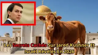 Les Secrets Cach&eacute;s Sur Jared Kushner Et Isra&euml;l R&eacute;v&eacute;l&eacute;s En 2026