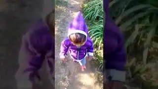 Ajuja