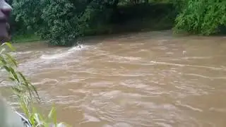 High risk rescue operation kerala 20018