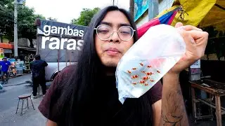 Buscando gambas Raras en el Mercado de PECES MORELOS