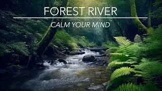🌿 Flowing River in Deep Forest 🌊 | Relaxing Nature Sounds for Sleep, Focus & Calm