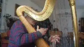 David Watkins gives impromptu harp tutorial in virtuoso technique - hand rather than active fingers