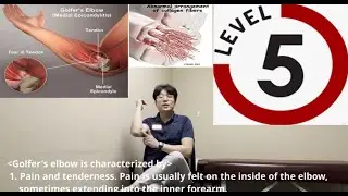 Major Exercise of Golf Elbow or Medial Epicondylitis/Pain in the Elbow - Level 5