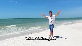 Fort Myers Beach: Insider insights into what investors and beach lovers wish they knew?