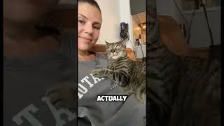 Do Cats Remember Their Owners ! 🤯 The SHOCKING Truth About Cat Memory