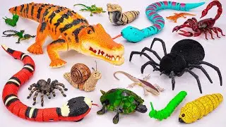 ZURU ROBO ALIVE COLLECTION | UNBOXING Robot Crocodile, New Robo Alive Giant Spider creepers | ASMR