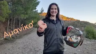Χριστουγεννιάτικη Σούπα μι Αμανίτις | Κυριακή Στέργου