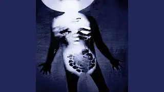 Can't Hurt (Redux)