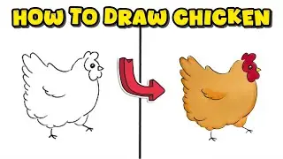 How to Draw a Chicken &ndash; Simple Drawing Process for Beginners Using Markers