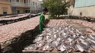 A lot Of Dry Fish Maked & Selling @Kilometers 9 - Vendors Make, Selling Dry Fish on The Street