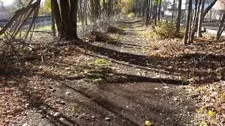 RDMVTL 17,682 ~ 11 2 2015 5 {MY BIKE PATH} w/MAX : CLEARING TREES [DL&W DEPOT] @ CORNING , NY