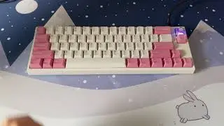 Leopold FC660M with lubed Cherry MX Silent Red Typing Sounds
