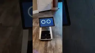 Astro Robot, Act like a Monkey 🐒 #robot #robotics #realrobot #astro #astrorobot #amazon