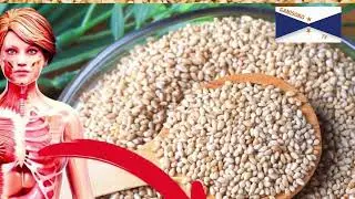 SEZAME IBIRYO BY'UBWONKO : Byinshi utari uzi kuri Sezame kandi ukwiriye kuba uzi‼️