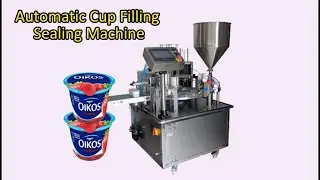 Automatic Yogurt Cup Filling Sealing Machine Price | Industry Jelly Cup Filler Sealer For Sale