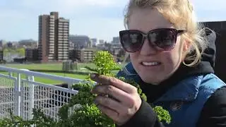 Green City Growers