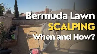 Bermuda Lawn Scalping | When and How 2025