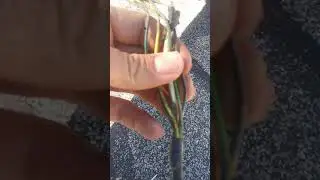 '99 Chevy Suburban trailer wiring harness factory#trending#scottykilmer#chrisfix #harborfreighttools