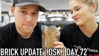 Deeper State Keto | Day 72 | Brick Update