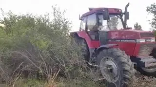 Zanon TL mulcher