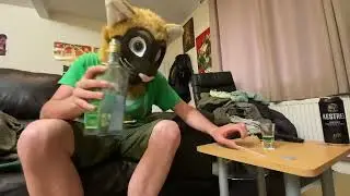 Drinking Absinthe in a Siamese cat head.