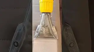 A clear extractor nozzle deep cleans upholstery lifting dirt and moisture